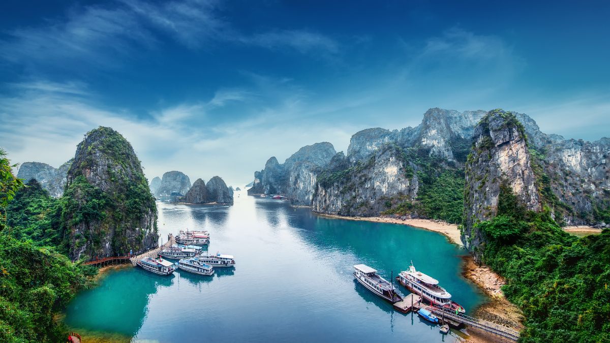 International travel